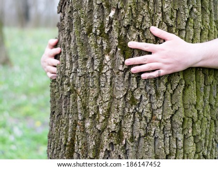 arms around a tree