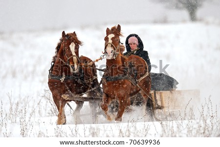 Winter landscape, journey on horse in winter in a snow-storm.