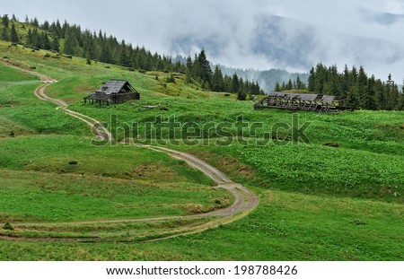 Spring fog in the Carpathian mountains in spring