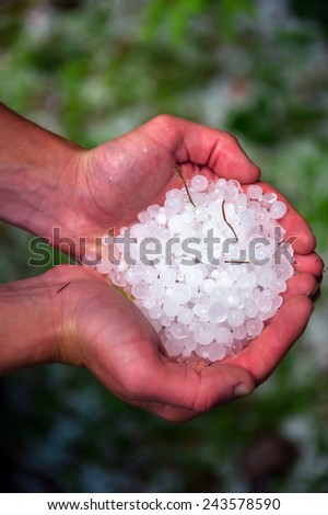Balls of hail on the grass in the summer after the storm