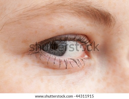 I see you - Macro of a female eye