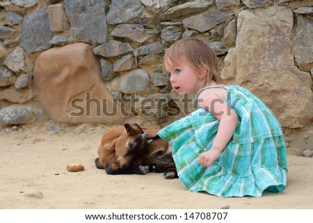 Little beauty girl (face not in focus) and small dark kid goat (in focus). Against a background of rocks wall.