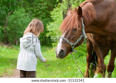 Beautiful Chestnut Horses