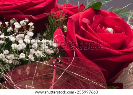 The Colour of Love - red rose with white pearl
