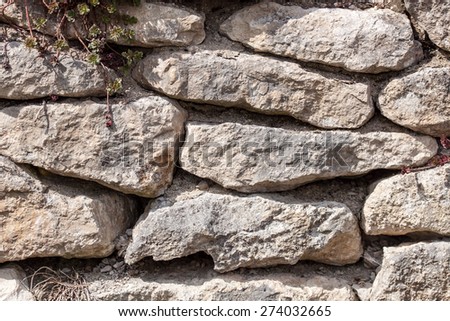 Old ruins - Coarse sand stone wall with vines and rough joints