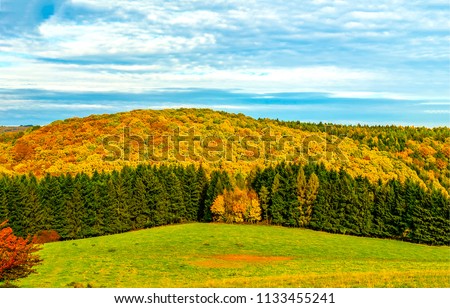 Autumn forest trees panoramic landscape. Autumn forest background in sunny day. Autumn mountain forest trees panorama