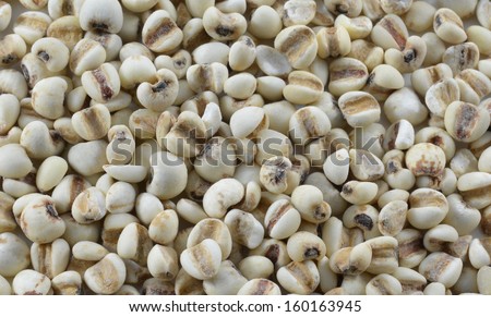 Organic millet grains separated from a white background, macro zoom.