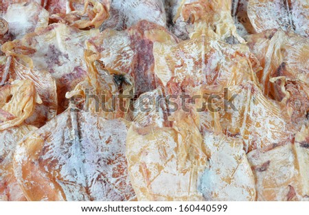 Squid fish, dried sea food preservation