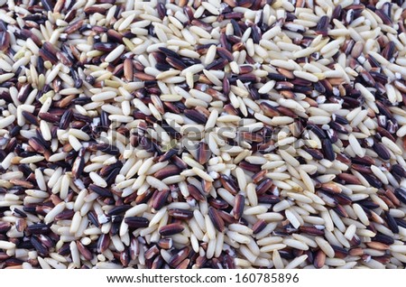 close-up of blended rice background
