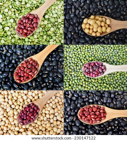 dried mung beans,black beans, and red beans