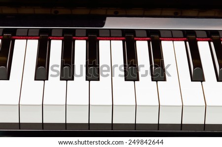 Shiny piano keys on grand piano.
