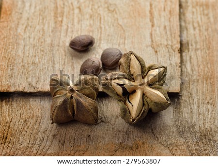 mountain peanut or Inca-peanut. It is native to much of tropical South America.