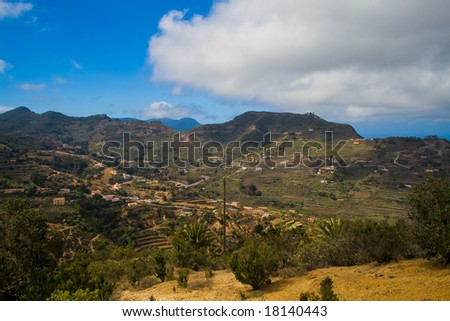 Typical nature on La Gomera, Canary, Islands, Spain