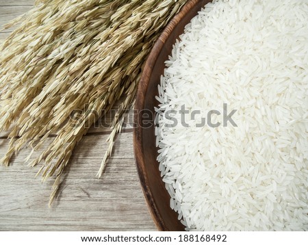 Close up white rice on the wooden plate and rice plant , uncooked raw cereals