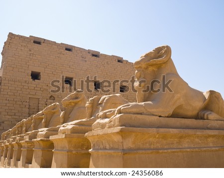 Ram-headed sphinxes at Karnak temple