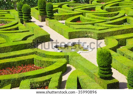 Amazing gardens from Villandry chateau, France