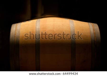 Wine barrel in an aging cellar of Ribera del Duero, Spain