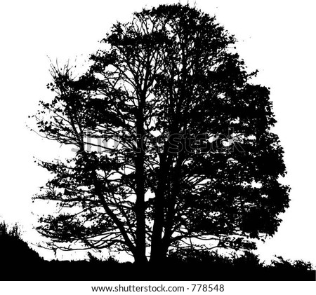tree silhouette vector. stock vector : Tree silhouette