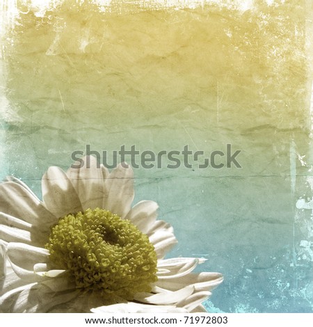 Detailed grunge style background with a daisy image