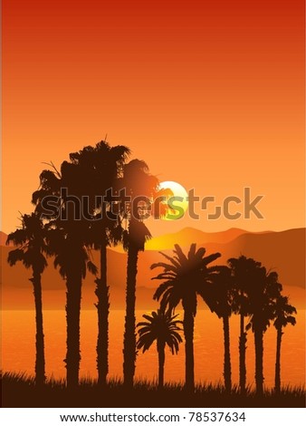 Tropical palm tree landscape
