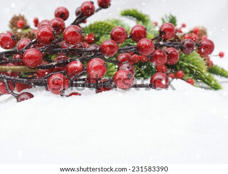 Christmas berries decoration in snow