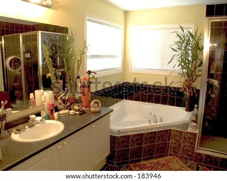 Bathroom with mirror,white porcelain fixtures, pastel walls, shower stall and whirlpool bathtub.