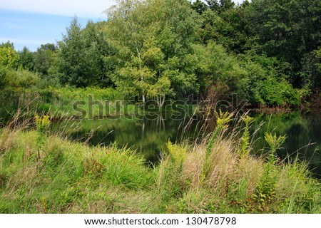 This Pastoral Scene Features A Pond And The Surrounding Foliage During Summer Near The Shore Of Lake Erie In New York State And Very Near The Pennsylvania Border, USA