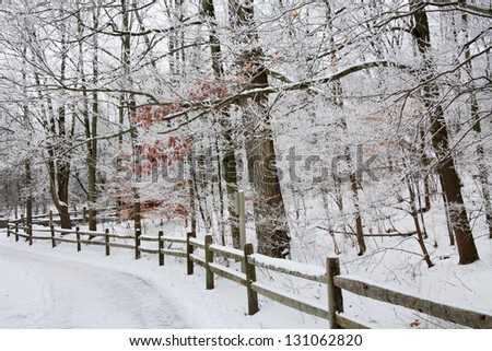 Snow Covered Trees, Fence And Walking Path Through The Forest During Winter In The Park, Sharon Woods, Southwestern Ohio, USA