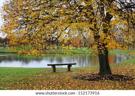 A Park Bench Next To A Pond And A Colorful Tree On A Rainy Day In Autumn, Southwestern Ohio, USA