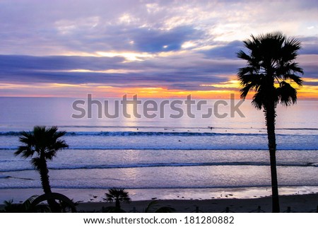 Palm Trees Frame The Lazy Surf Of The Pacific Ocean At Sunset Near San Diego California, USA