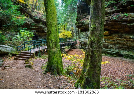 A Foot Bridge And Trail Through The Forest During Autumn In The Scenic Old Man\'s Cave State Park Of Central Ohio, Hocking Hills Region, USA