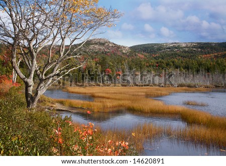 Seal Cove Pond, Mount Desert Island, Acadia National Park, Maine