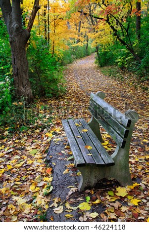 A Walking Path And Park Bench Amid The Brilliant Colors Of A Rainy Autumn Day, Sharon Woods, Southwestern Ohio