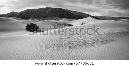 Sand Ripples, Death Valley National Park, California, Black And White