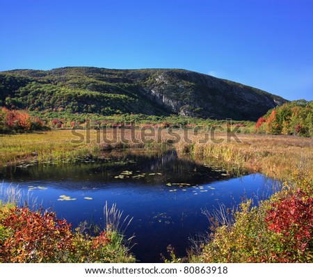 A Marshy Pond And Mountain Under Deep Blue Skies During Autumn At Acadia National Park, Maine, USA