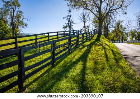 Strong Shadows Fall Forward Along A Backlit Fence Line And Country Lane During Autumn In Horse Country, Lexington Kentucky, USA