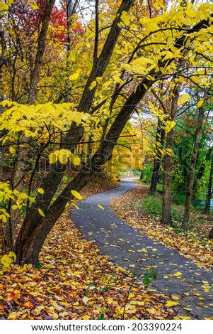 A Walking Path Framed By The Brilliant Colors Of A Rainy Autumn Day, Sharon Woods, Southwestern Ohio, USA