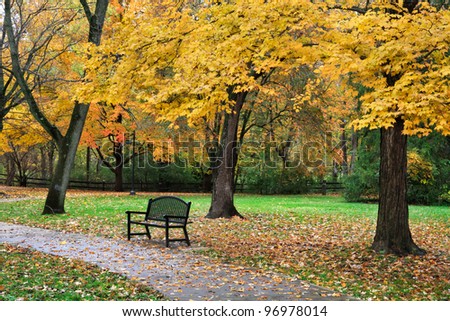 A Walking Path And Park Bench Amid The Brilliant Colors Of A Rainy Autumn Day, Sharon Woods, Southwestern Ohio, USA