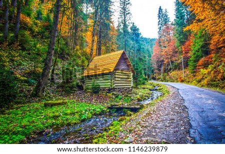 Autumn mountain forest road house landscape. Mountain forest road house in autumn season. Autumn mountain forest road house scene
