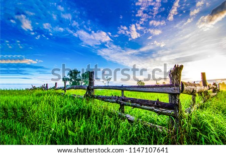 Summer green rural farm fence landscape. Wooden farm fence summer scene. Country farm fence summer evening panorama