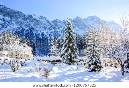 Winter snow mountain forest landscape. Snow covered trees on winter snow mountains. Winter mountain snow forest scene. Winter snow mountain forest trees view