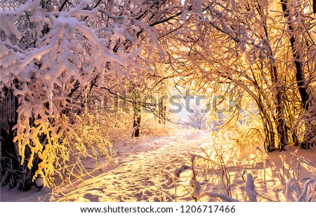 Winter snow forest trees tunnel sunset view. Sunset winter snow forest tunnel scene. Winter snow forest trees tunnel sunset background. Sunset winter snow forest tunnel