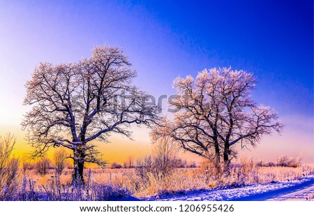 Sunset winter snow covered trees landscape. Winter snow sunset trees view. Sunset winter snow trees silhouettes. Winter snow sunset scene