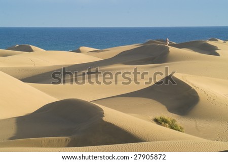 Sand dunes and sea against clear blue sky - Stock Image - Everypixel