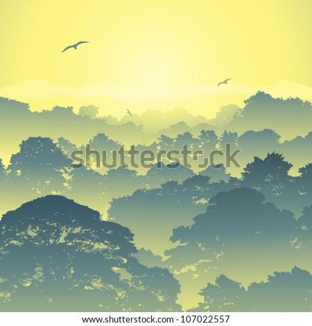A Misty Forest Landscape with Trees and Sunset, Sunrise