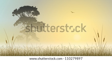 A Misty Sunrise, Sunset Landscape with Tree and Reeds
