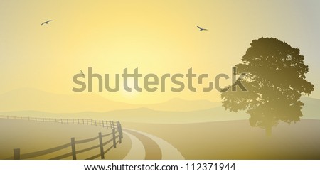 A Country Landscape with Sunset, Sunrise, Road and Tree