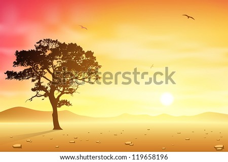 A Desert Landscape with Tree and Birds