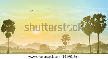 A Misty Landscape with Palm Trees and Sunset, Sunrise