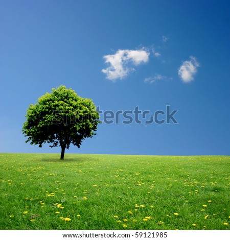 Tree Standing Alone
